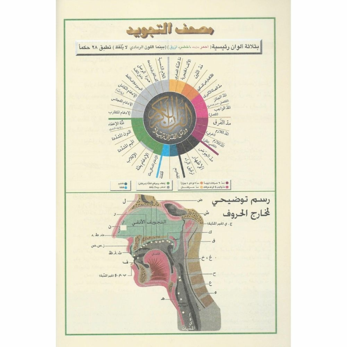 مصحف القرآن الكريم - Mushaf tajweed (in Hafs) middelgroot formaat - soennahboeken.nl Online Islamic books